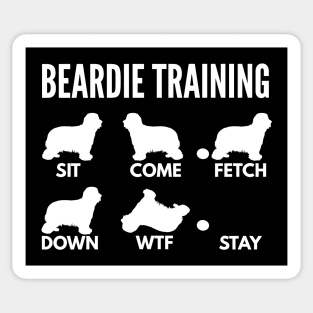 Beardie Training Bearded Collie Tricks Sticker